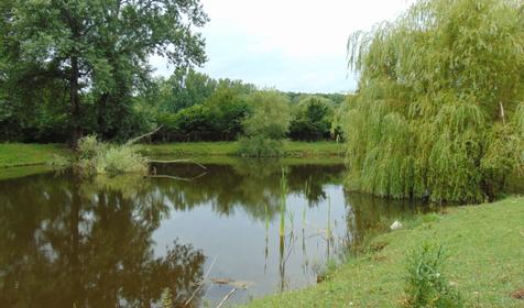 Гостевой дом У Макса, Северский район, Тхамаха