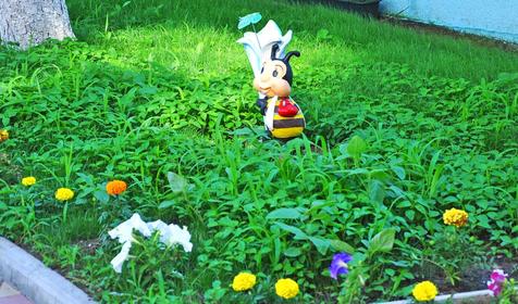 Отель Черноморский, Анапа, Витязево