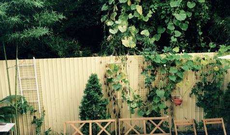 Мини-отель Грифон, Сочи, Адлер