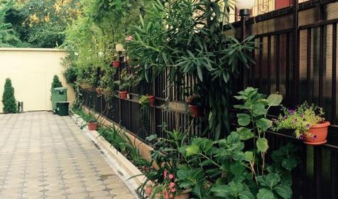 Мини-отель Грифон, Сочи, Адлер