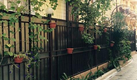 Мини-отель Грифон, Сочи, Адлер