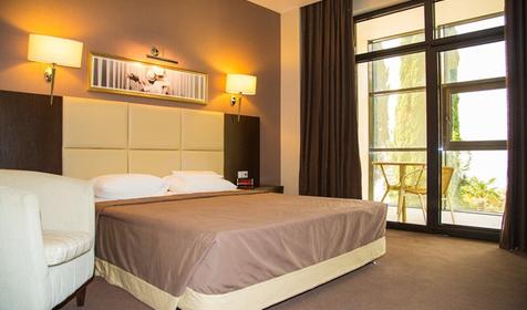 1-комнатный 1-местный с балконом. Санаторий Мыс Видный, Сочи, Хостинский район