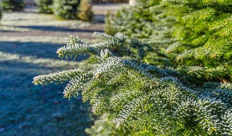  Гостевой дом Эдем, Республика Адыгея, Майкопский район, п. Гузерипль