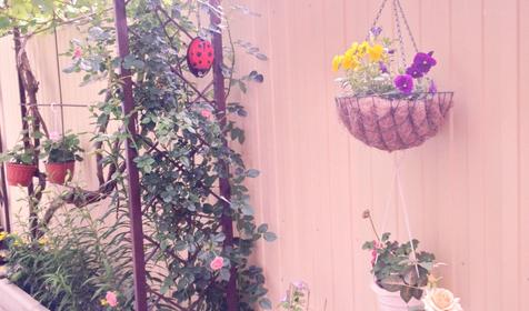 Двухкомнатный, первый этаж