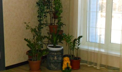 Две комнаты