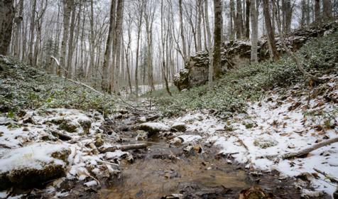 База отдыха Благодать