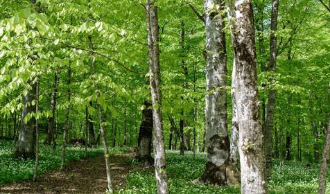 База отдыха Благодать