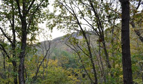 База отдыха Дербенка. Краснодарский край, Северский район, Дербентская