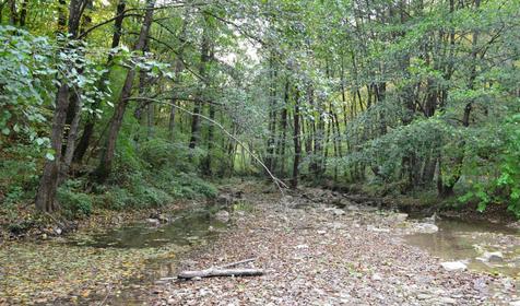 База отдыха Дербенка. Краснодарский край, Северский район, Дербентская