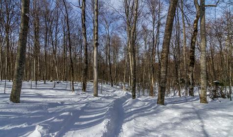 База отдыха Благодать