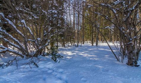 Территория. Крестьянско-фермерское хозяйство Усадьба Колхидские Ворота, Апшеронский район, Камышанова поляна