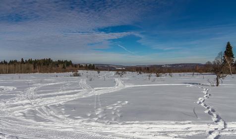 Территория. Крестьянско-фермерское хозяйство Усадьба Колхидские Ворота, Апшеронский район, Камышанова поляна
