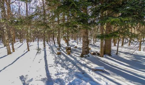 Территория. Крестьянско-фермерское хозяйство Усадьба Колхидские Ворота, Апшеронский район, Камышанова поляна