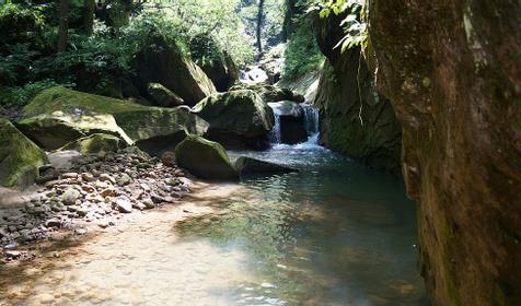 На Ленина 73, природа