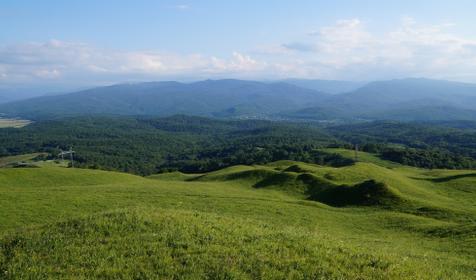 На Ленина 73, природа