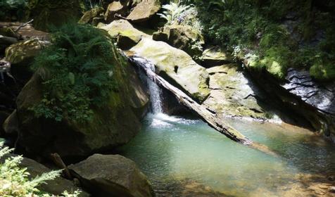 На Ленина 73, природа