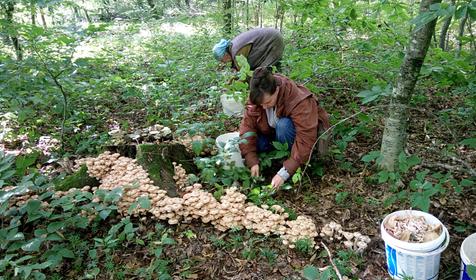 На Ленина 73, природа