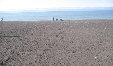 Пурпурный замок