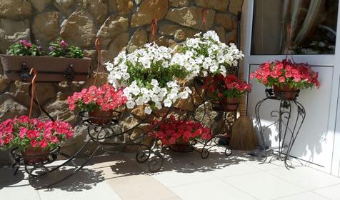 Гостевой дом Верона, г. Анапа, п. Витязево