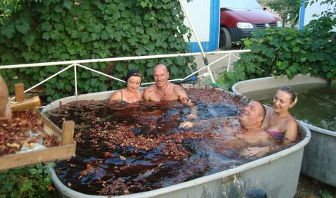 Гостевой двор Осетровый курень