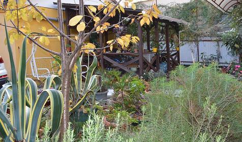 Гостевой дом Галька, Сочи, Адлерский район