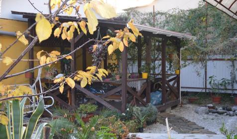 Гостевой дом Галька, Сочи, Адлерский район