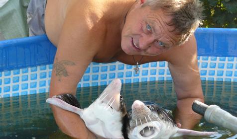 Осетровый курень