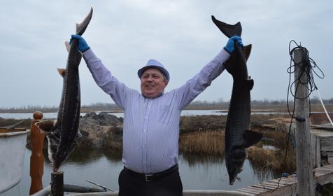 Осетровый курень