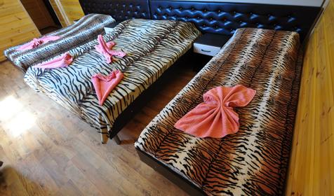 Четырехместный стандарт