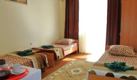 Трехместный с лоджией на 1 этаже