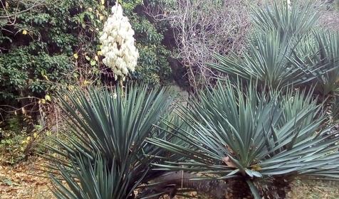 Оздоровительный комплекс Чайка, Туапсинский район, п. Лермонтово