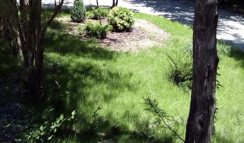 Оздоровительный комплекс Чайка, Туапсинский район, п. Лермонтово