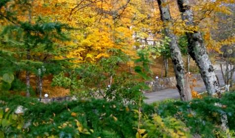 Оздоровительный комплекс Чайка, Туапсинский район, п. Лермонтово