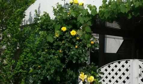 Времена года