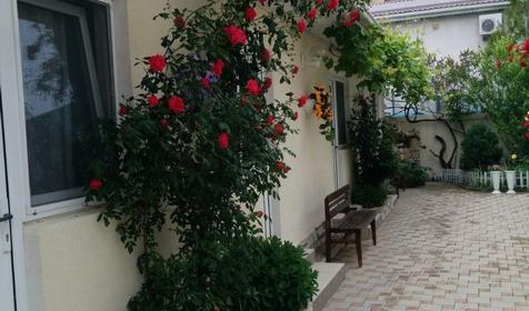 Времена года