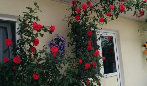 Времена года