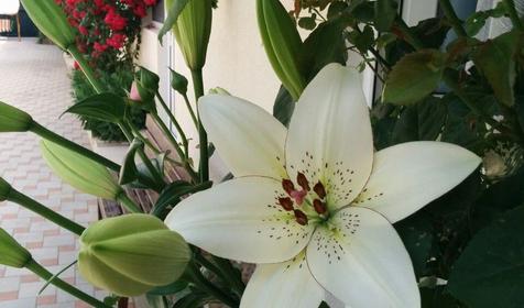 Времена года