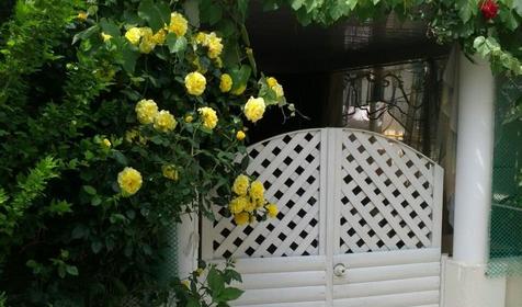 Времена года