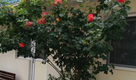 Времена года