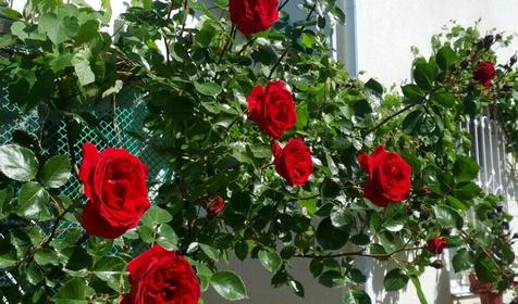 Времена года