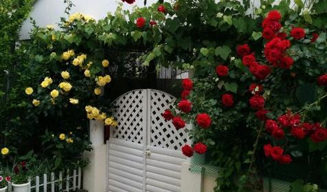 Времена года