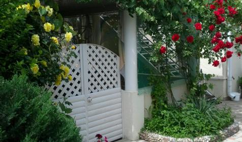 Времена года