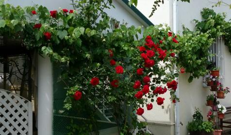 Времена года