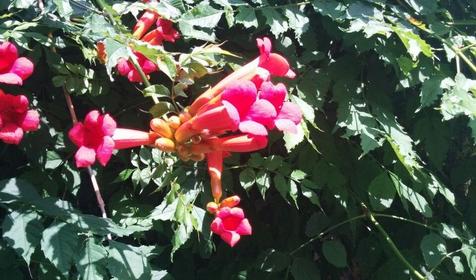 Времена года