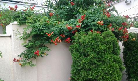 Времена года