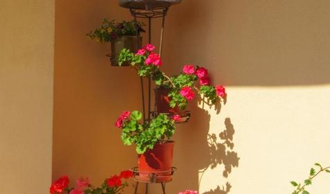 Гостевой дом Дельфин, г. Сочи, Адлер