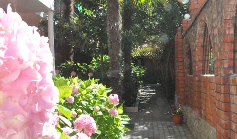 Пансионат Лазурный, Сочи, Головинка