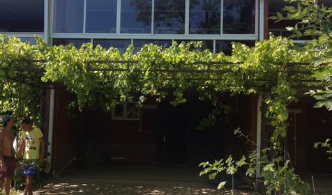 Сам себе хозяин