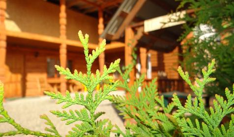 Тихий уголок