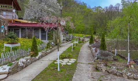 База отдыха Яблочный гусь, Северский р-он, п. Тхамаха